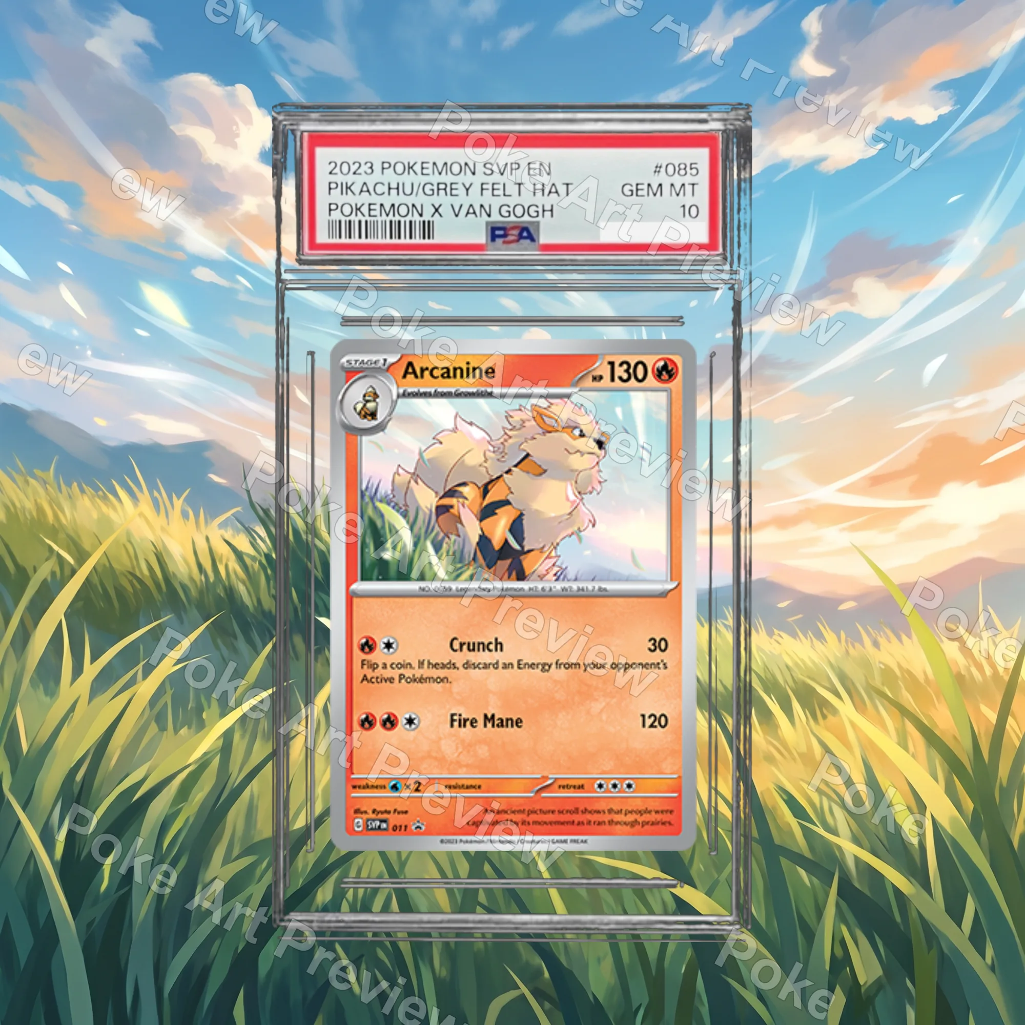 Arcanine SVP 011 promo Pokemon TCG extension art collector display view 4