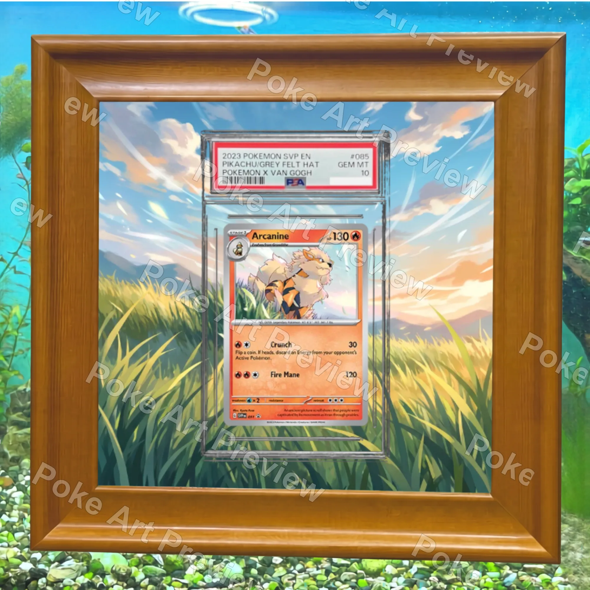 Arcanine SVP 011 promo Pokemon TCG extension art collector display view 5