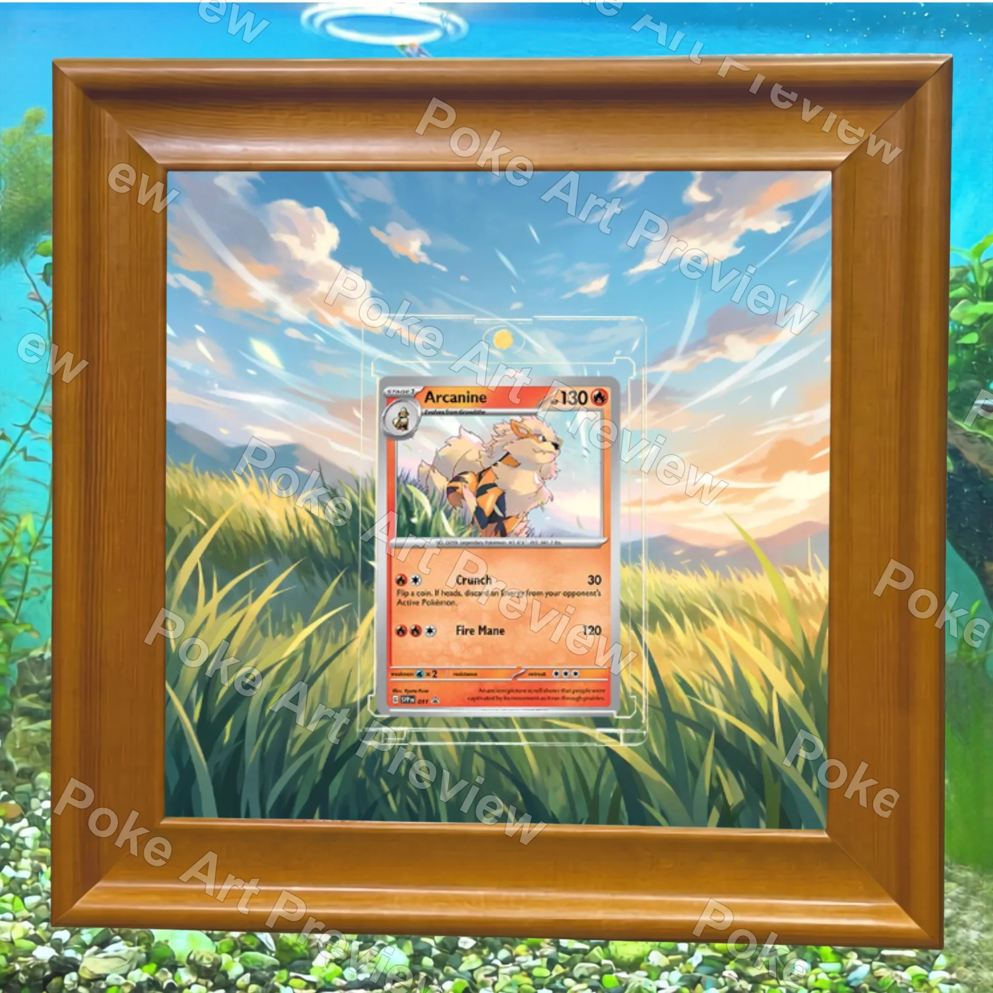 Arcanine SVP 011 promo Pokemon TCG extension art collector display view 6