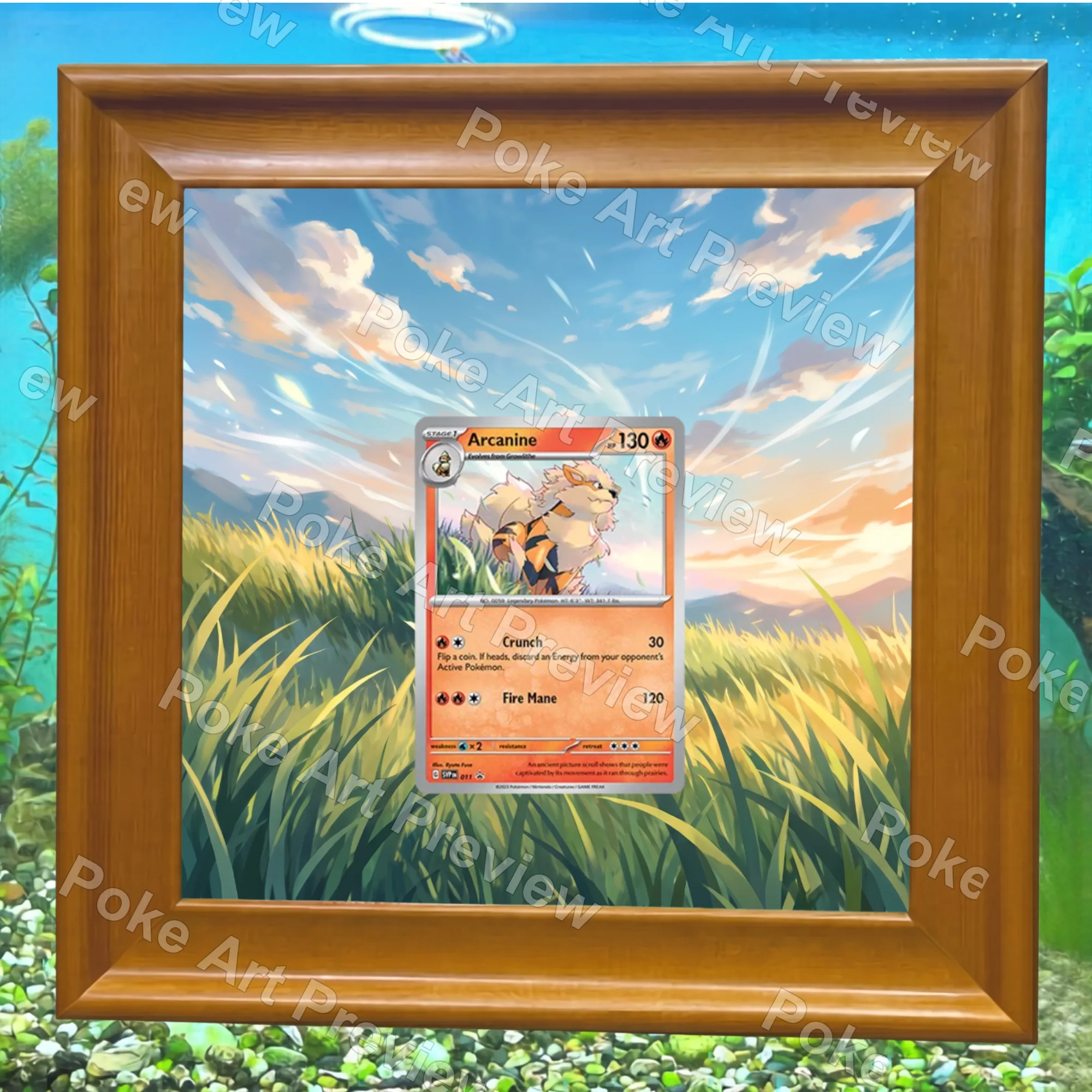 Arcanine SVP 011 promo Pokemon TCG extension art collector display view 7