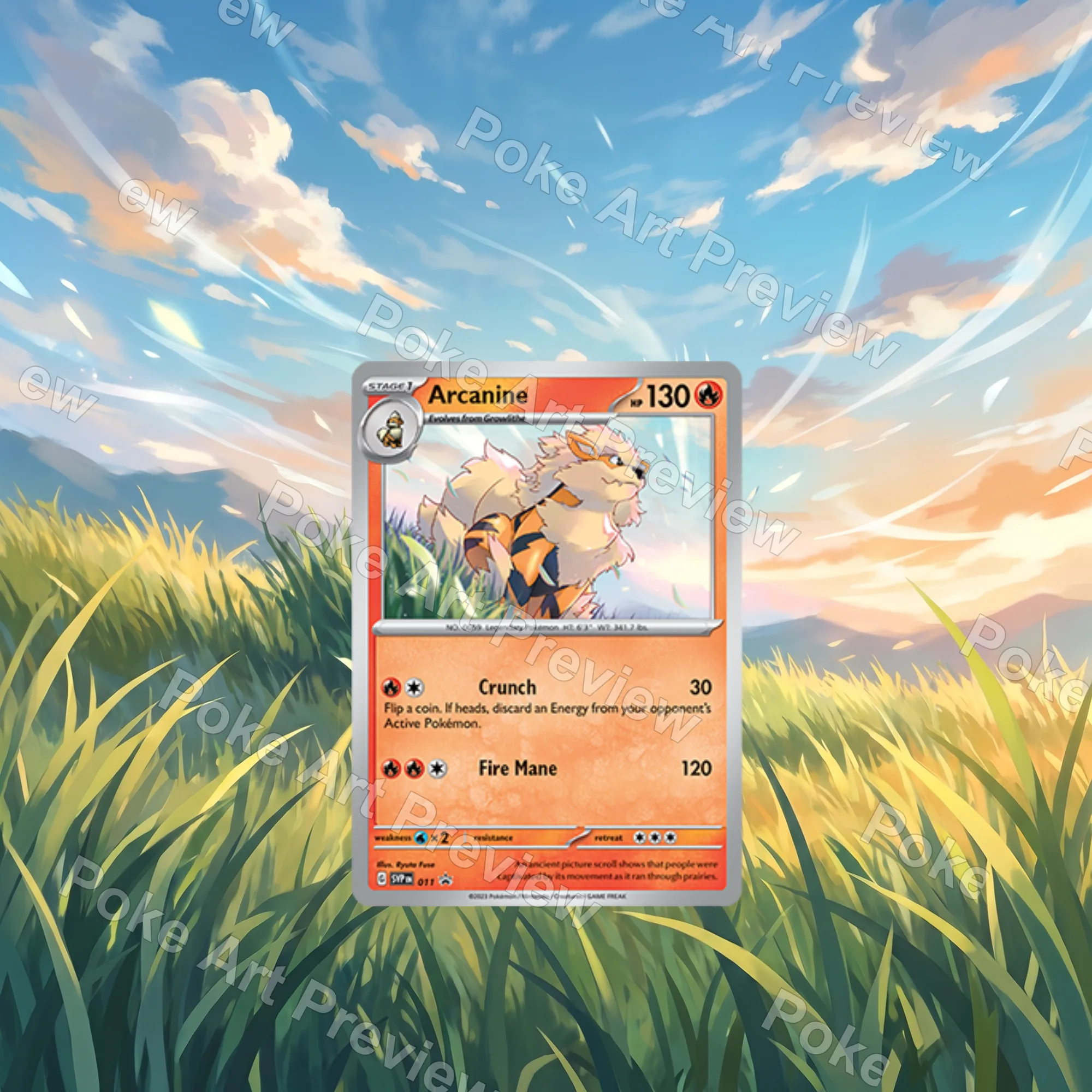 Arcanine SVP 011 promo Pokemon TCG extension art collector display