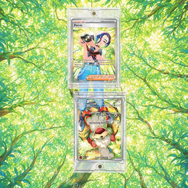 ヒスイガーディ 075/066 サザレ 092/066 クリムゾンヘイズ SV5a ポケモンTCG拡張アート コレクター展示用