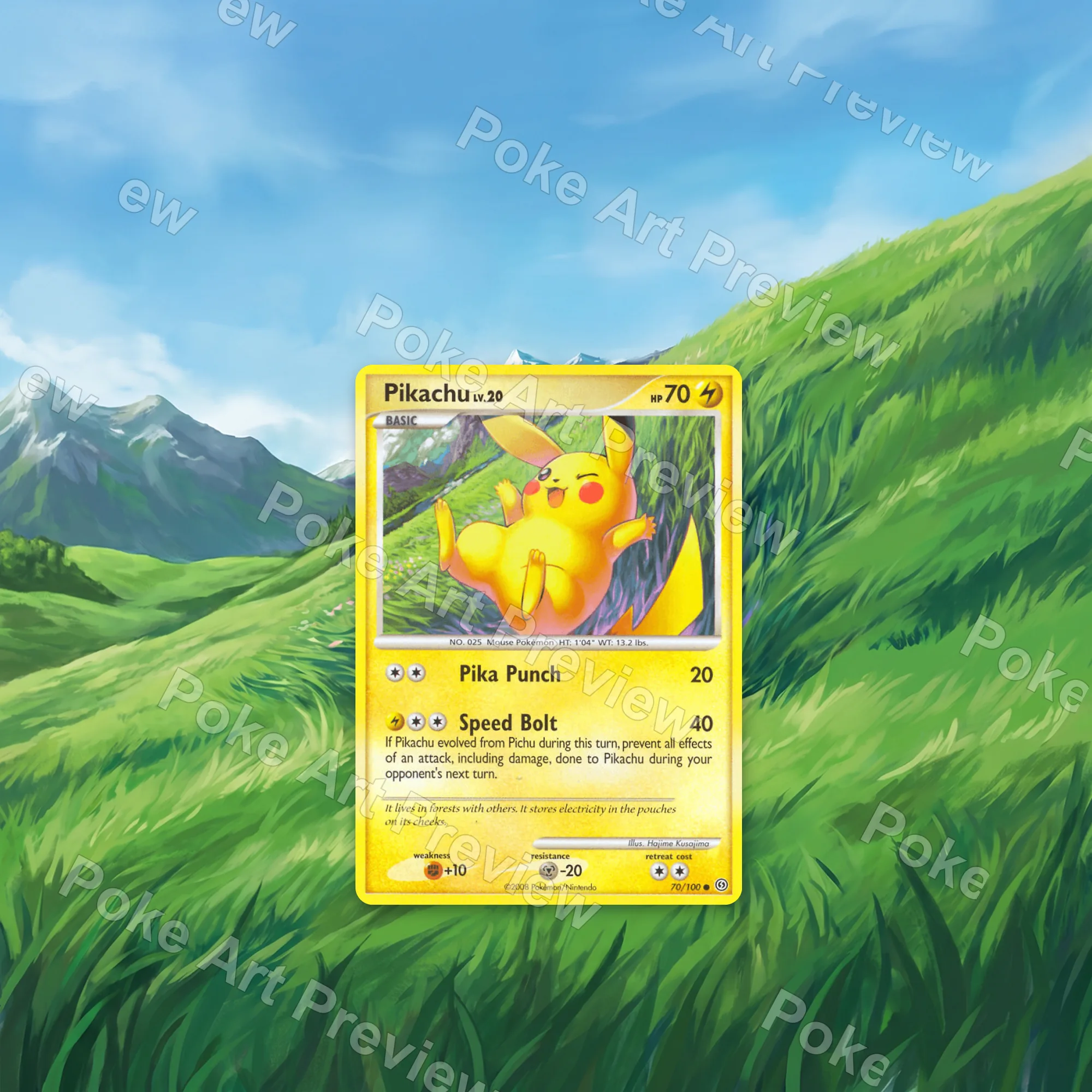 皮卡丘 70 Stormfront Pokemon TCG 延伸藝術 收藏展示