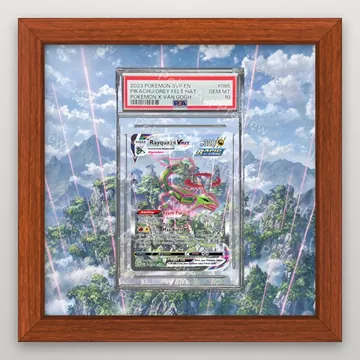烈空坐 VMAX Evolving Skies Pokemon TCG 延伸藝術 收藏展示 view 2