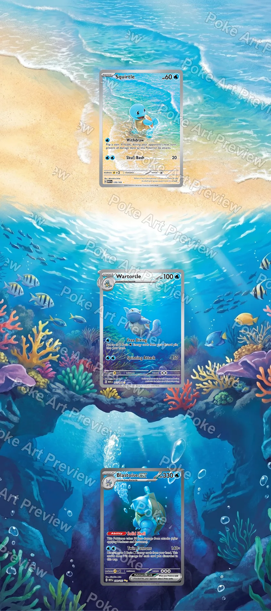 Squirtle, Wartortle and Blastoise ex Scarlet & Violet 151 Pokemon TCG extension art collector display
